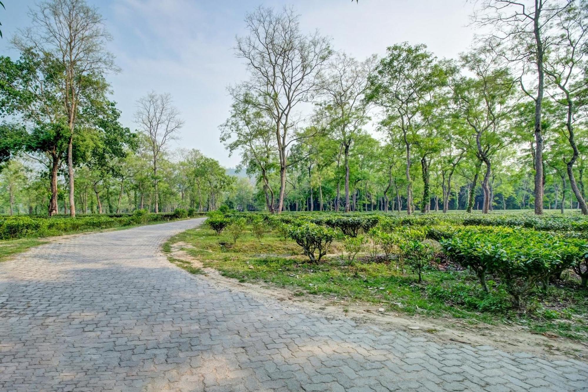 Hotel O Heritage Nest Resort Kazirnga Kāziranga Dış mekan fotoğraf