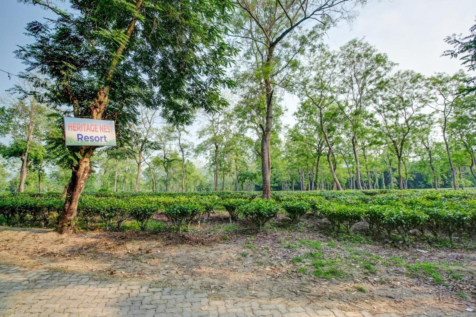 Hotel O Heritage Nest Resort Kazirnga Kāziranga Dış mekan fotoğraf